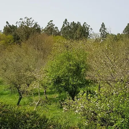 Casa de hóspedes Lo *