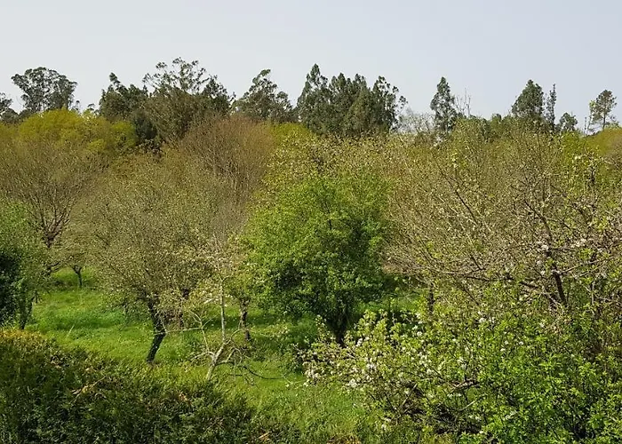 Casa de hóspedes Lo *